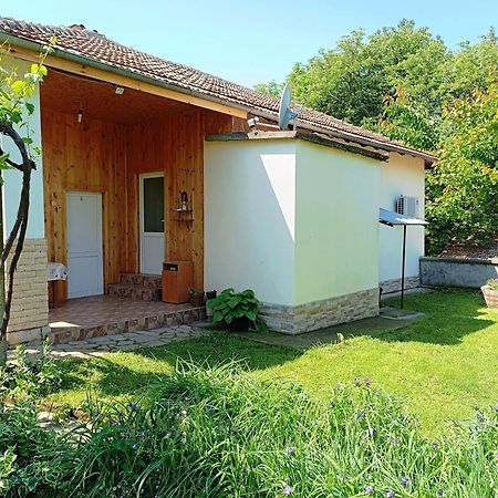 Divna Guest House Kruszuna Zewnętrze zdjęcie