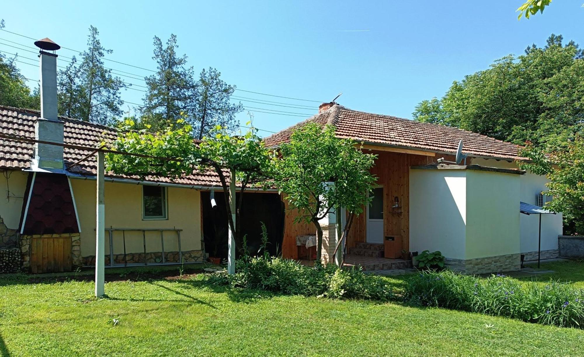 Divna Guest House Kruszuna Zewnętrze zdjęcie