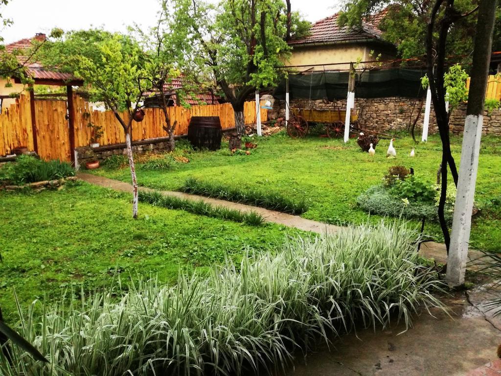 Divna Guest House Kruszuna Zewnętrze zdjęcie