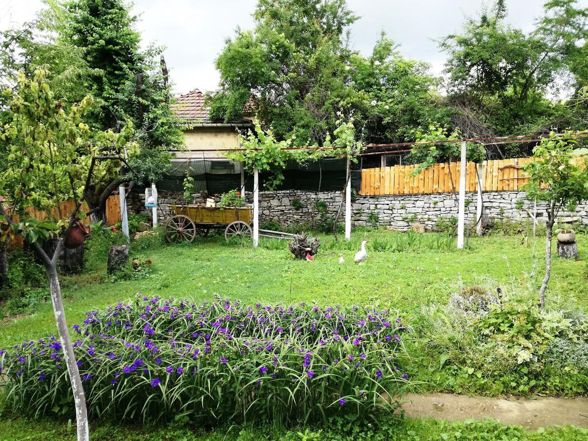Divna Guest House Kruszuna Zewnętrze zdjęcie