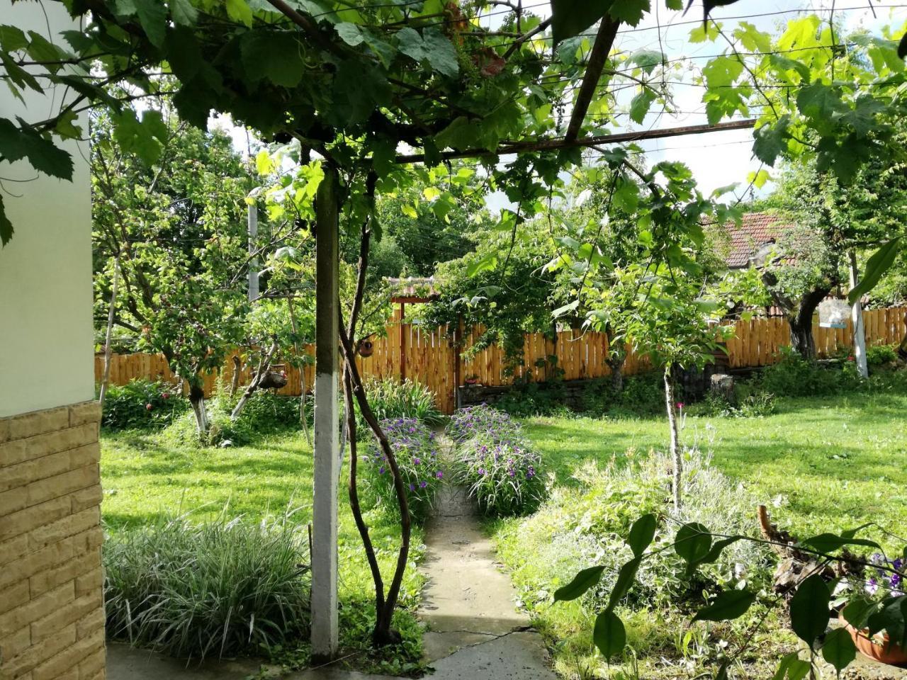 Divna Guest House Kruszuna Zewnętrze zdjęcie